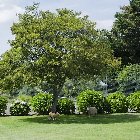 Otel Beachcombers 3*