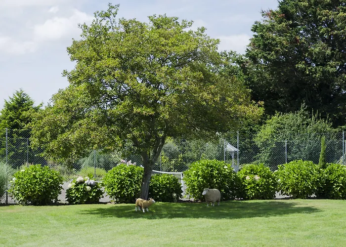 Otel Beachcombers 3*